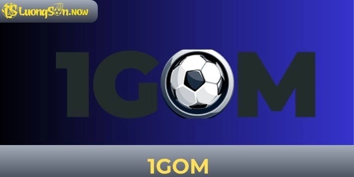1gom - KQBD, BXH miễn phí 100%, cập nhật 24/7 uy tín