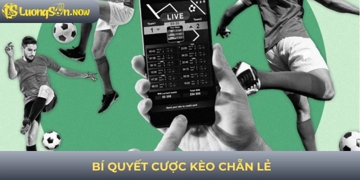 Bí kíp đặt cược kèo chẵn lẻ nâng cao cơ hội thắng