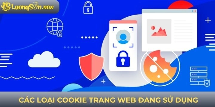 Hàng loạt Cookie đang được trang web sử dụng