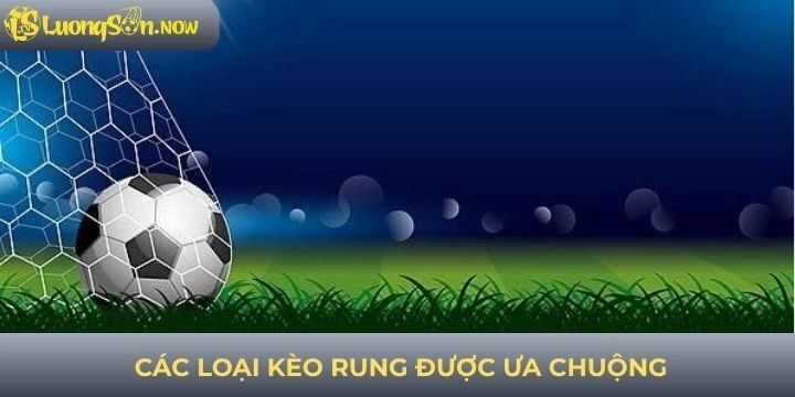 Các loại kèo rung được ưa chuộng