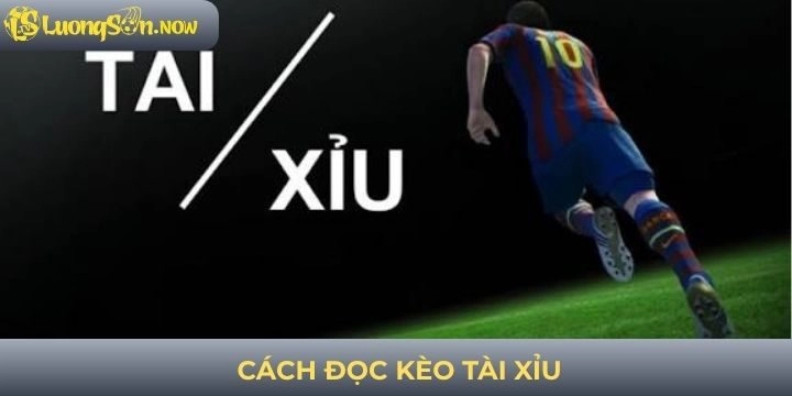 Cách đọc kèo tài xỉu và tính thưởng cho người mới