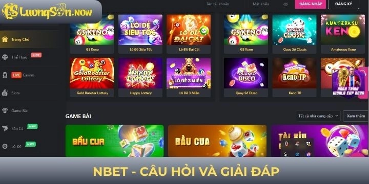 Giải đáp các câu hỏi thường gặp faqs về Nbet