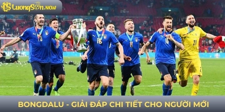 Hàng loạt câu hỏi về điểm đến thú vị bongdalu