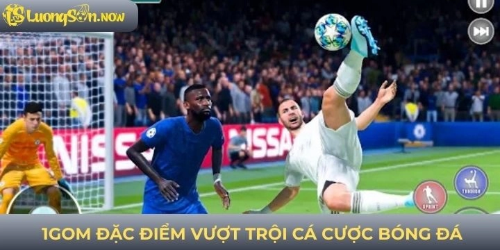 Ưu thế mà 1gom mang lại cho người dùng