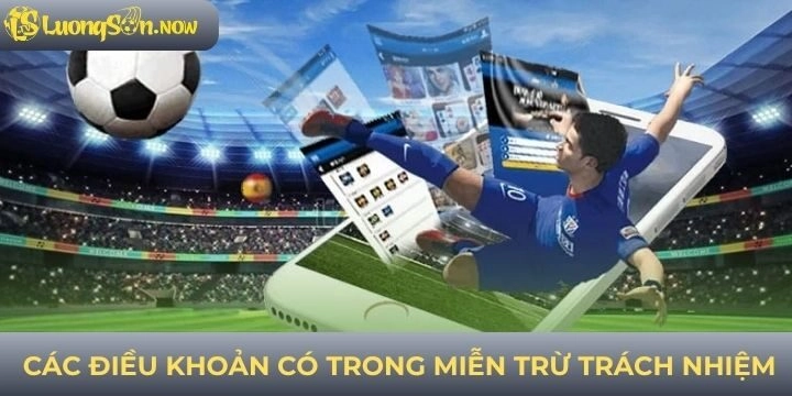 Các điều khoản chính có trong miễn trừ trách nhiệm