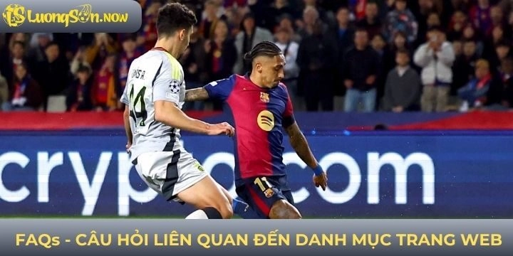 Những chủ đề FAQs liên quan đến danh mục trang web