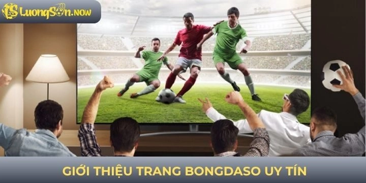 Giới thiệu Bongdaso chuyên tin tức bóng đá