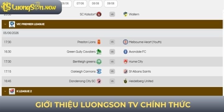 Giới thiệu sơ qua về kênh Luongson tv chính thức