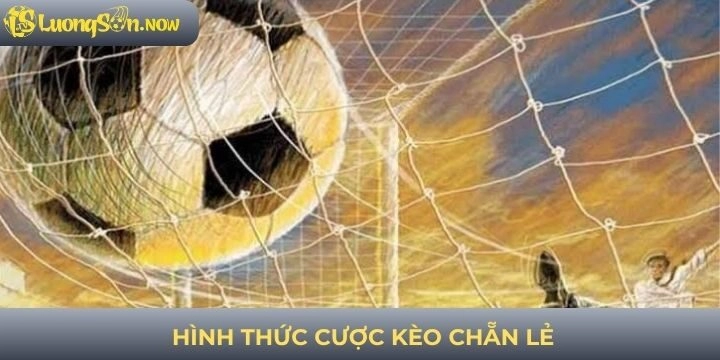Hình thức cược kèo chẵn lẻ phổ biến nhà cái uy tín