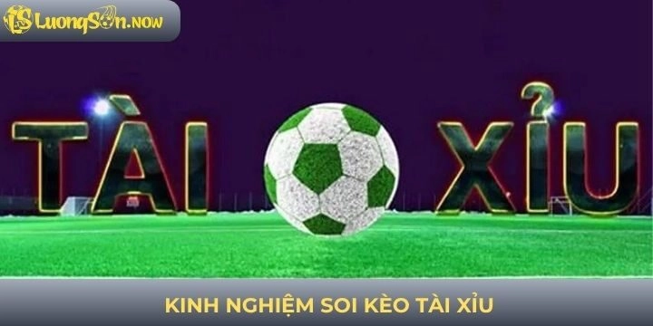 Kinh nghiệm soi kèo tài xỉu từ chuyên gia