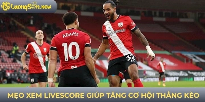 Mẹo cược hợp lý giúp bạn tăng tỷ lệ thắng lớn 
