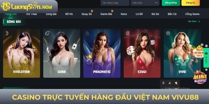 Vài nét giới thiệu nhà cái chất lượng hàng đầu Vivu88