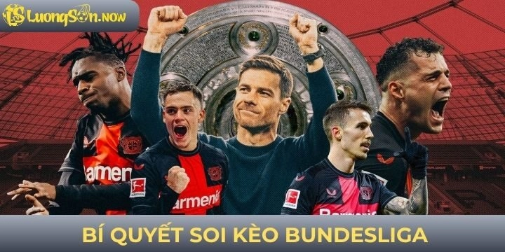 Bí kíp soi kèo và đặt cược siêu hiệu quả cho người mới
