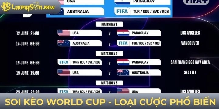 Soi kèo world cup các loại cược phổ biến hiện nay