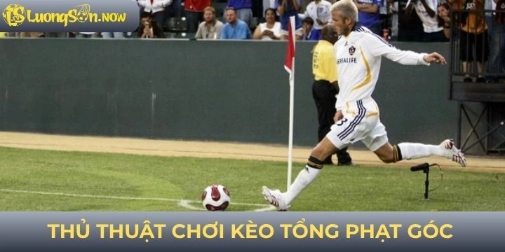 Những chiến thuật hay khi chơi kèo tổng phạt góc