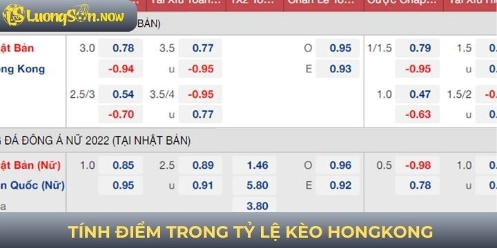 Hướng dẫn tính điểm trong khi tham gia tỷ lệ cược Hồng Kông