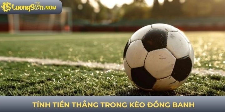 Tính tiền thắng kèo đồng banh đơn giản