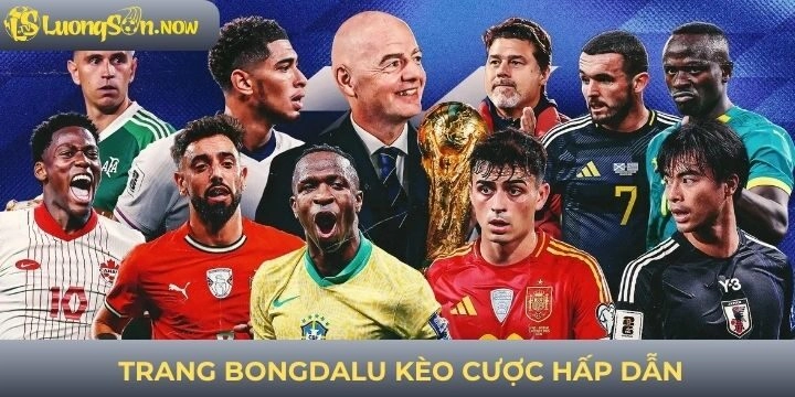 Tổng quan cho người mới về bongdalu