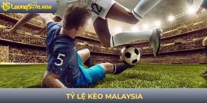Tỷ lệ kèo Malaysia - Những quy tắc chung cần phải nắm rõ