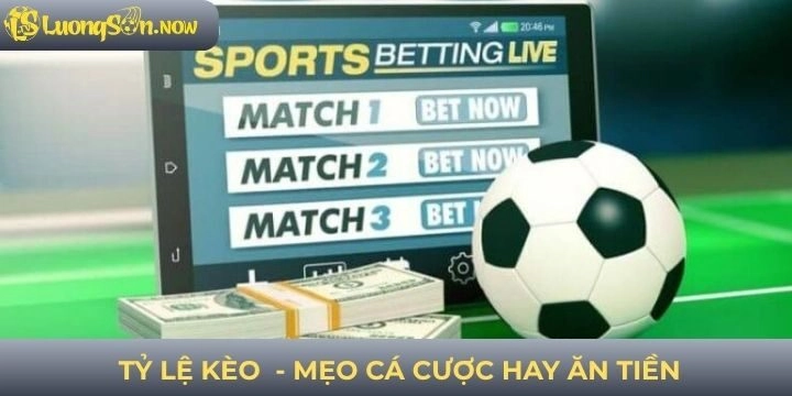 Tổng hợp mẹo cược dựa trên việc đọc odds