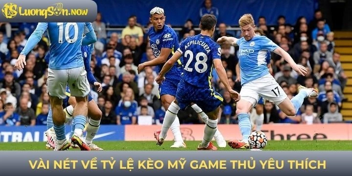 Vài nét về tỷ lệ kèo Mỹ tân thủ cần nắm
